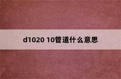 d1020 10管道什么意思